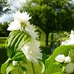 Σπίτι διακοπών La Martiniere - Au Cours Du Ruisseau