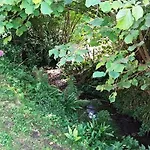 Σπίτι διακοπών La Martiniere - Au Cours Du Ruisseau