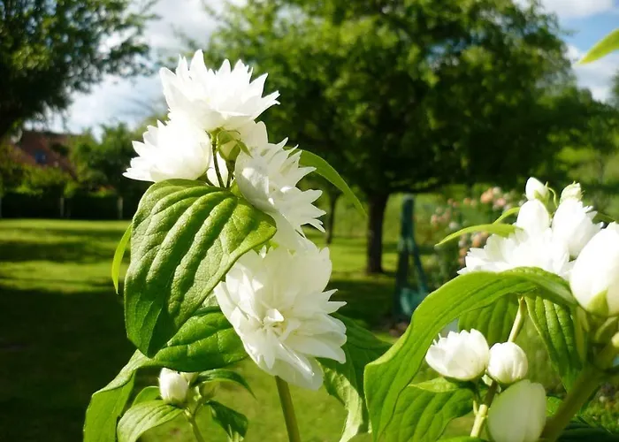 Vakantiehuis La Martiniere - Au Cours Du Ruisseau