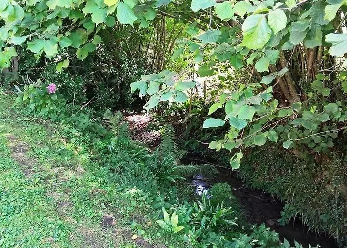 Vakantiehuis La Martiniere - Au Cours Du Ruisseau