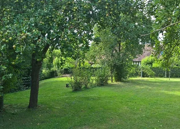 Vakantiehuis La Martiniere - Au Cours Du Ruisseau